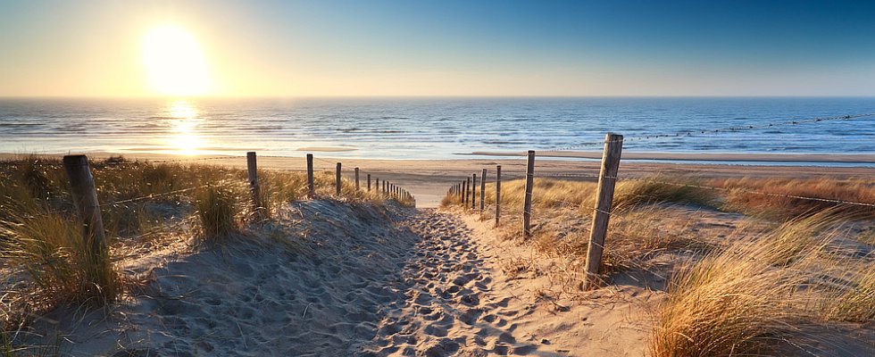 les landes