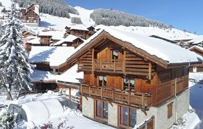 France - Alpes et Savoie - Les Deux Alpes - Chalet Le Loup Lodge - 14 personnes